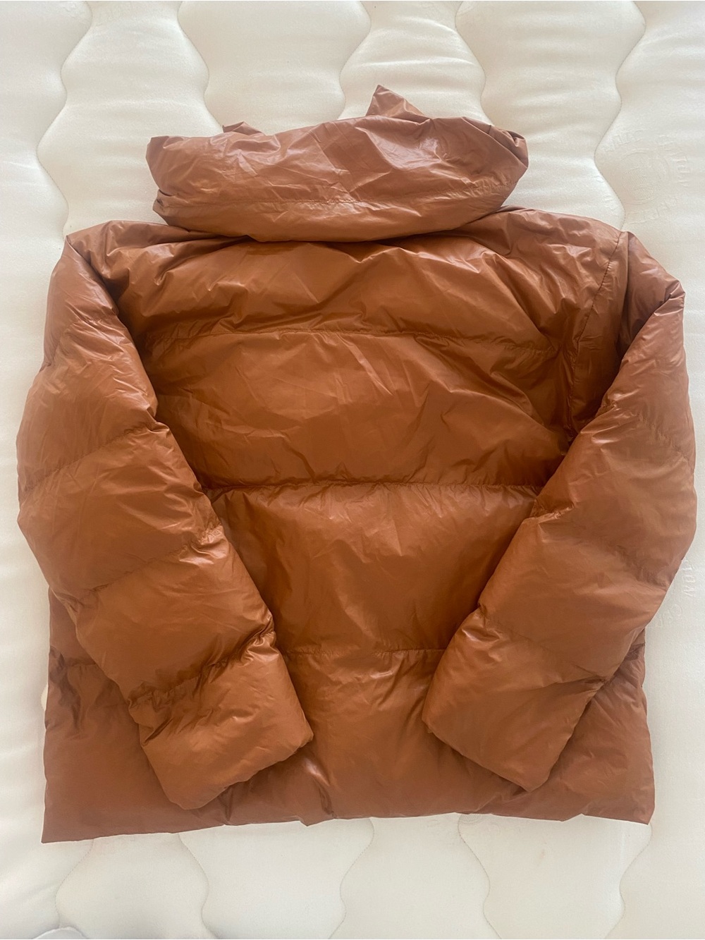Walter Baker Rust-Brown Quilted Puffer Jacket - Picture 3 of 4